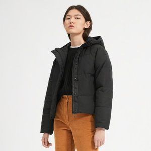 Everlane The ReNew Short Puffer (Black)